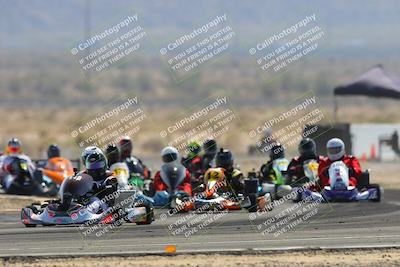 media/Mar-30-2025-Pro Autosports (Sun) [[34ff8f16e0]]/6-Purple Group/Main Race/